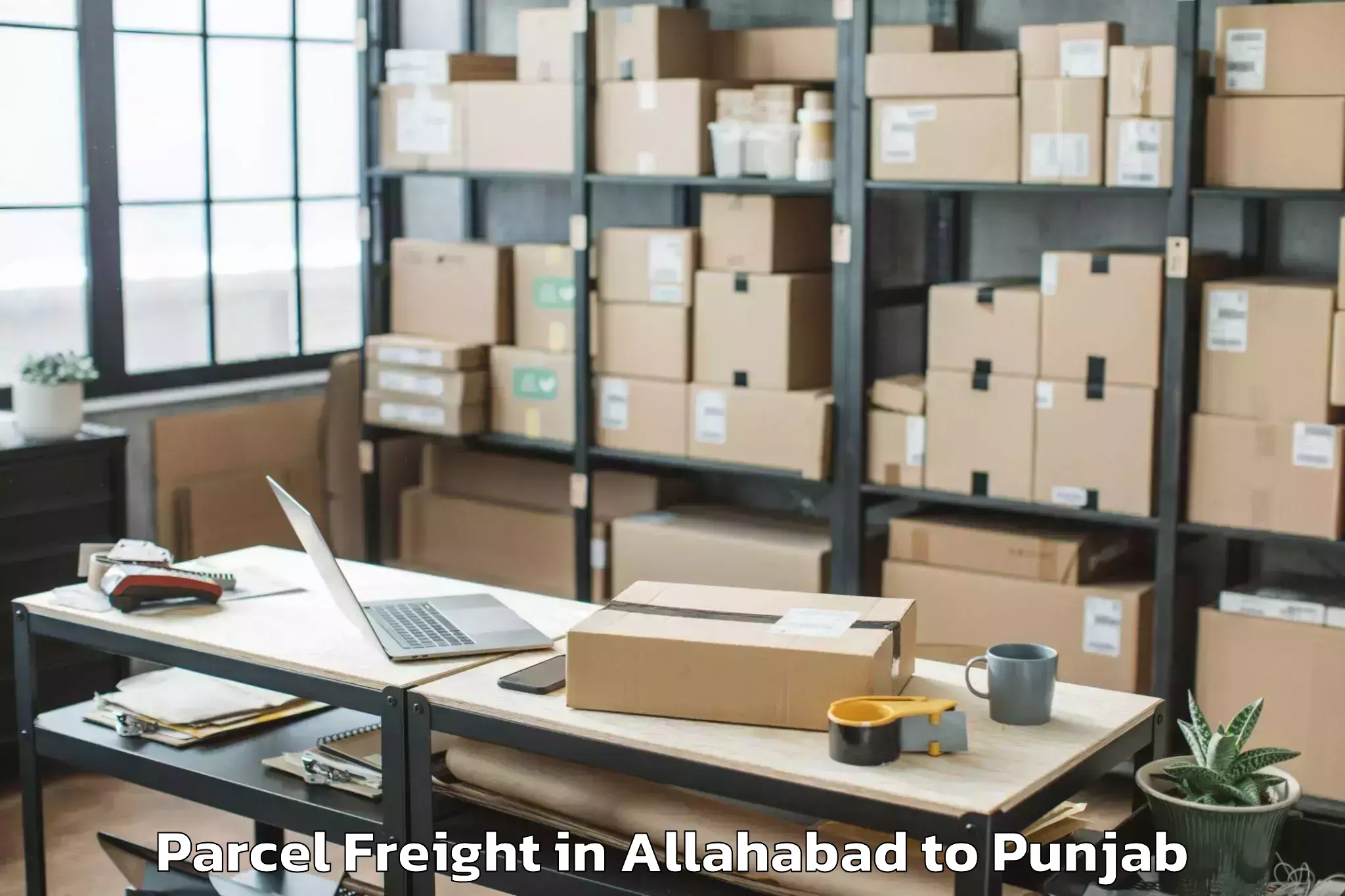 Professional Allahabad to Mall Of Amritsar Alpha One Parcel Freight